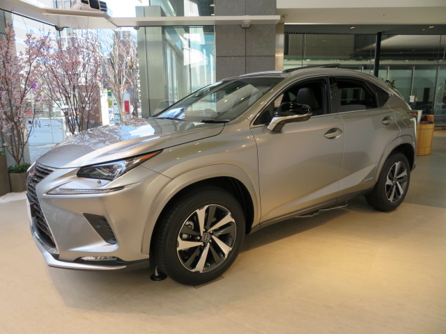 NX300h