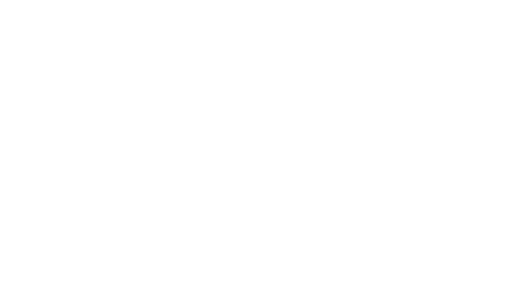 EAST DAISENLONG BRIDGE