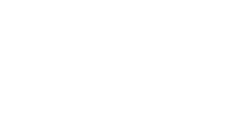 HASHIZU BEACHSEA TORII