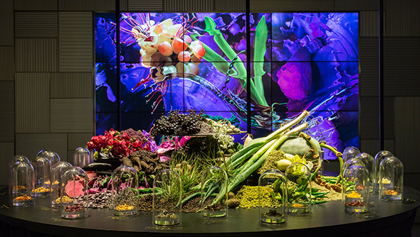 Taste of Inspiration for LEXUS: A Food Installation for All the Senses