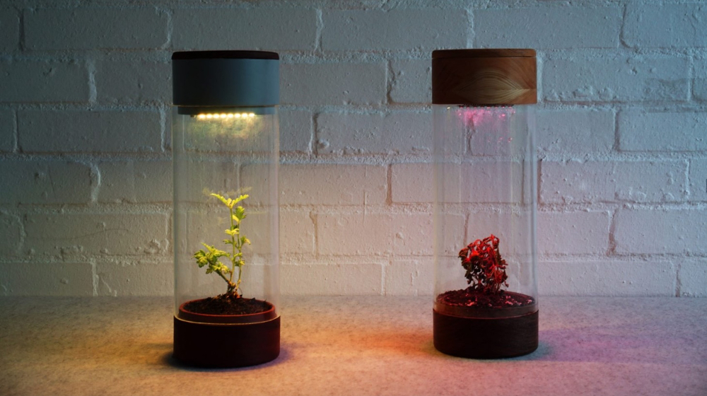 台湾人デザイナー、チウ・ジェンシェン氏の「Phabit」 ©Jen-Hsien Chiu