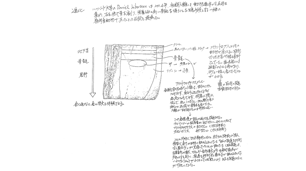 「進化」のルセット