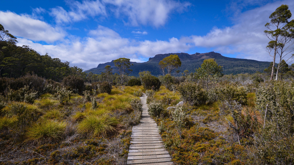 © Tasmanian Expeditions