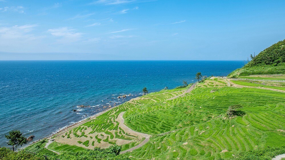 世界農業遺産に登録された「能登の里山里海」を代表する棚田「白米千枚田」