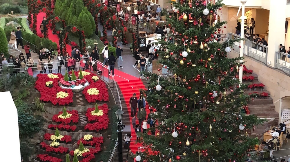 アトリウムの花壇一面に広がるポインセチアは、ツリーと並ぶクリスマスシーズンの目玉だ