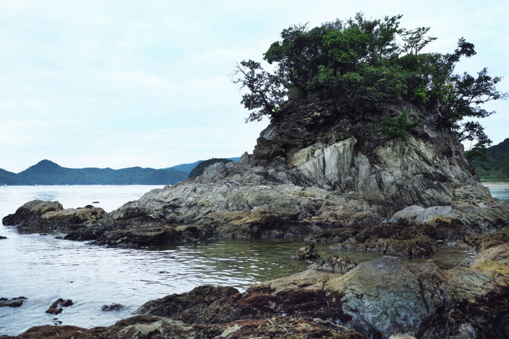 浜への散歩中、岩の作り出す造形美にしばし目を奪われた