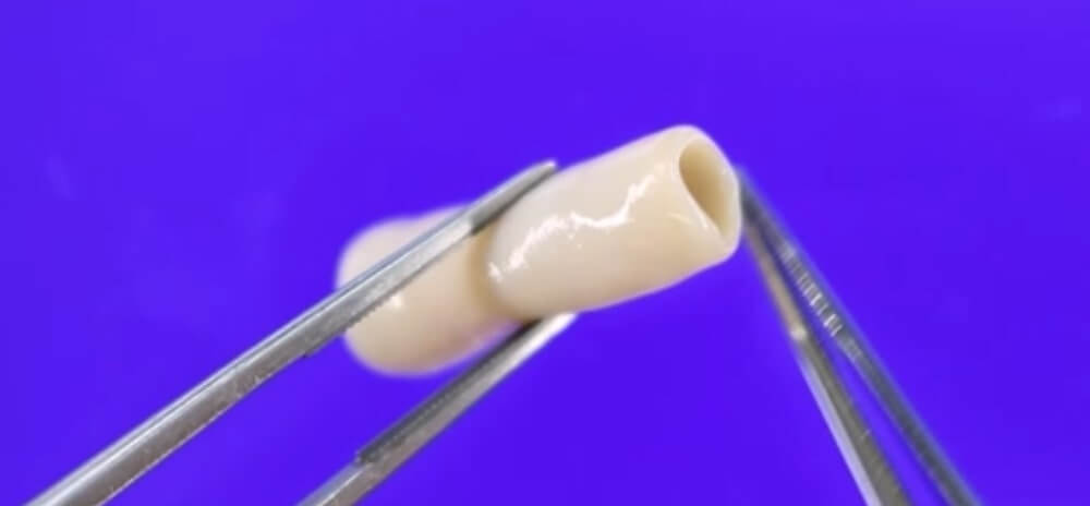サイフェーズ社のバイオ3Dプリンターで印刷された臓器(血管) 画像提供:サイフェーズ社