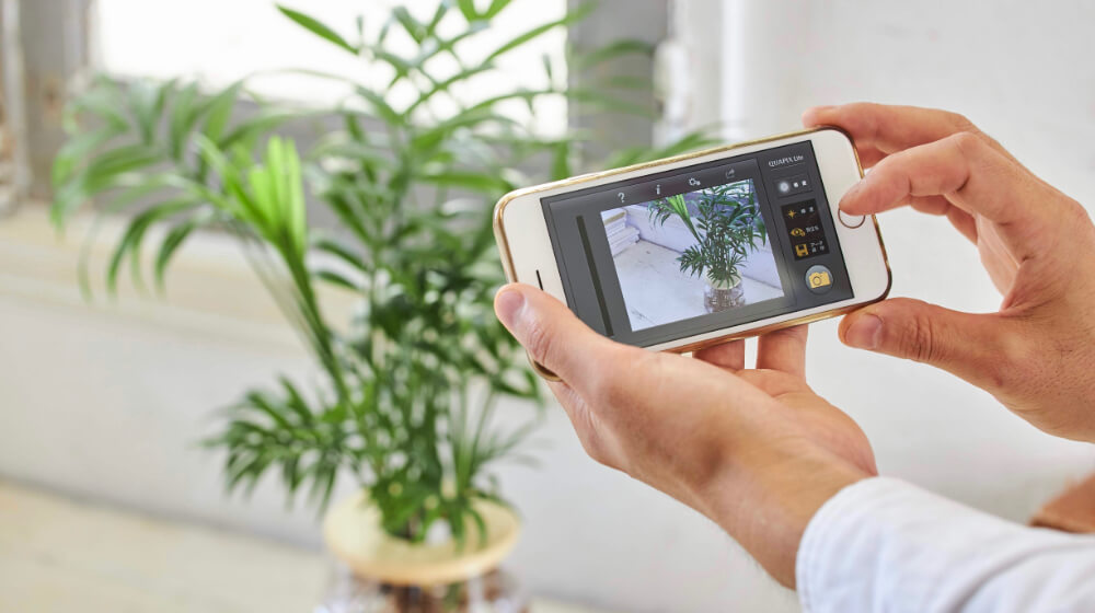 購入前に、植物を置きたい部屋の明るさをチェック