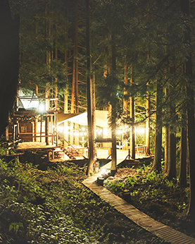 Lexus Lexus Hybrid Drive 特徴 Nx