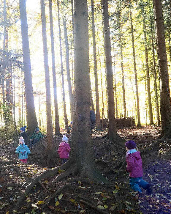 森で自立心と集中力を育む スイスの幼児教育 森の幼稚園 Lexus Visionary ビジョナリー