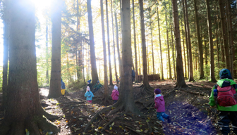 森で自立心と集中力を育む、スイスの幼児教育「森の幼稚園」