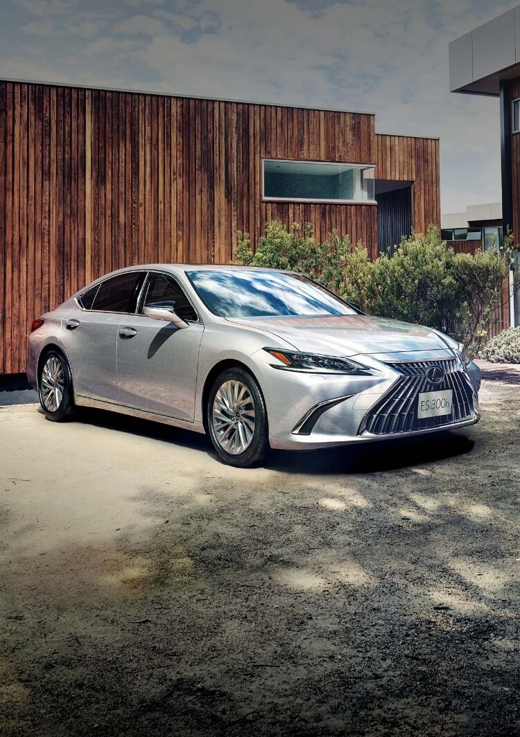 LEXUS ES300h