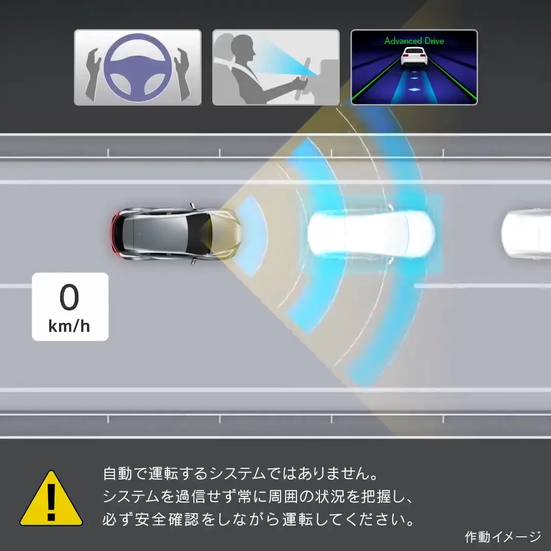 km様確認用 Km様確認用 Km様確認用 ハチ様確認用