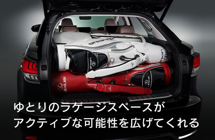 LEXUS スタンドクラブケース - バッグ