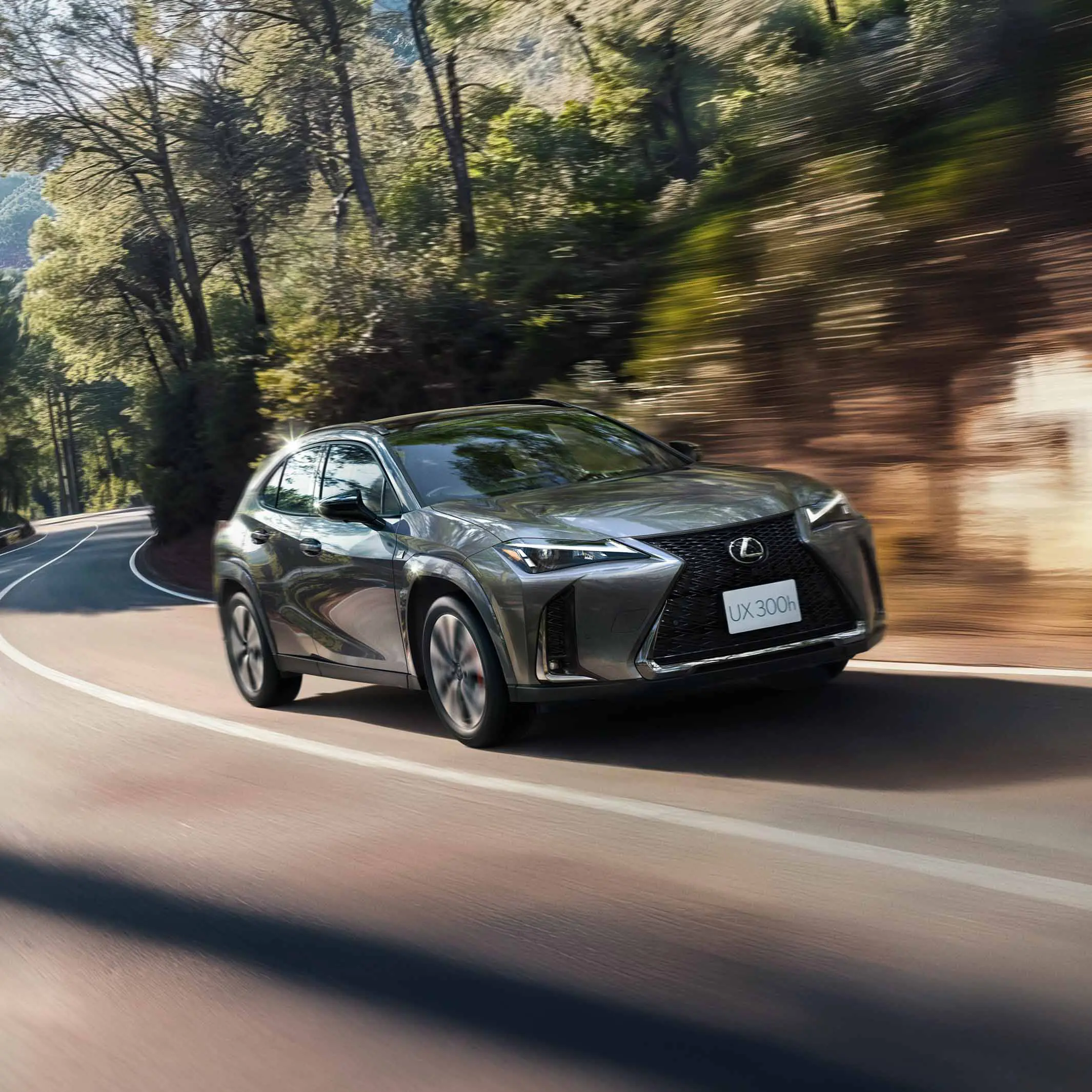 レクサス仕様 テディベア春バージョン レクサス仕様 テディベア春バージョン LEXUS レクサス