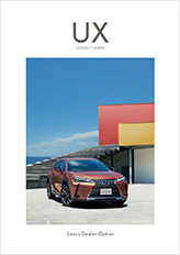 Lexus Dealer Option