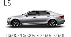 LS