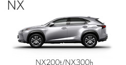 NX