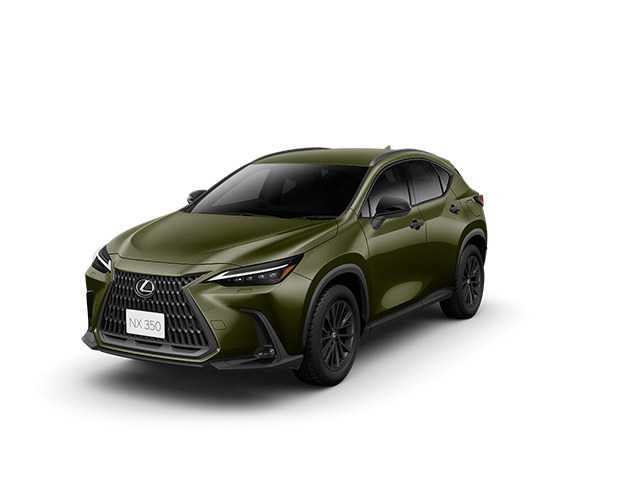 NX350 OVERTRAIL （AWD）