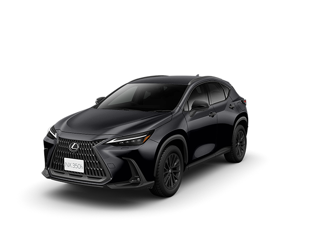 NX350h OVERTRAIL （AWD）