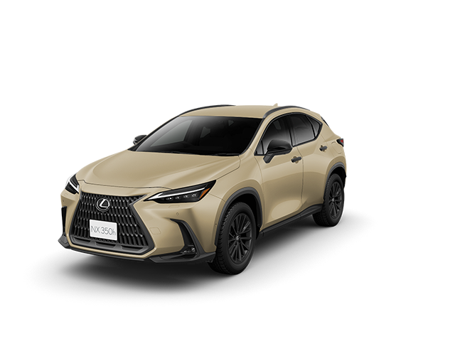 NX350h OVERTRAIL （AWD）