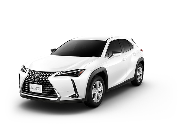 UX300h version C （AWD）