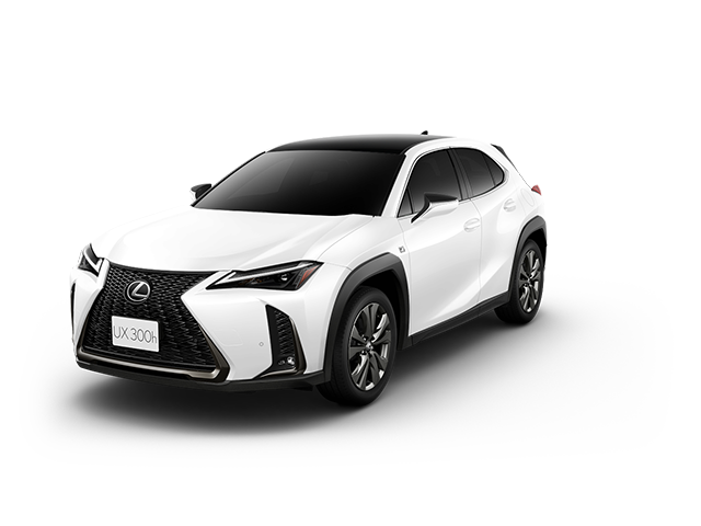 UX300h F SPORT （AWD）