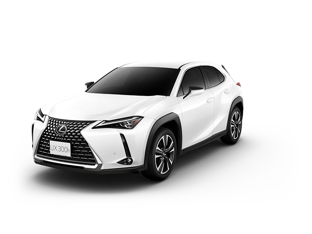 UX300h version L （AWD）